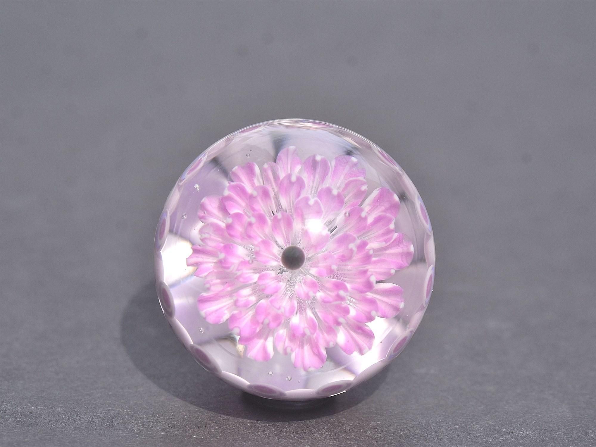 Glass Gallery BOHEMIAN】 谷根千にあるボロシリケイトガラス Glass Gallery BOHEMIAN】 谷根千にあるボロシリケイトガラス