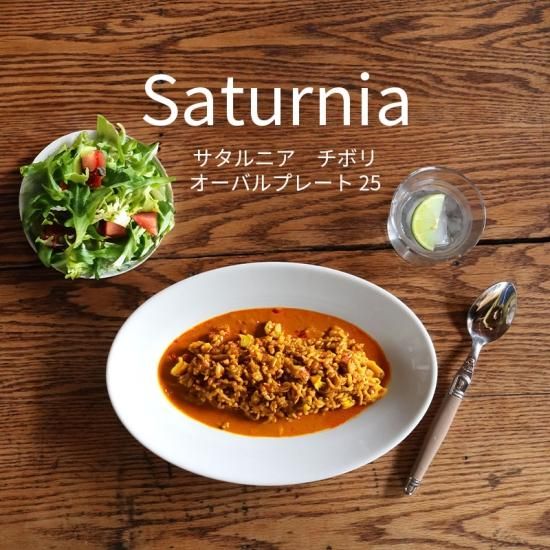 が大特価！ サタルニア W O L T S - 25cm オーバルプレート チボリ | 食器