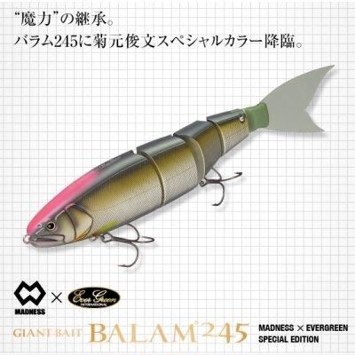 EverGreen マドネスXエバーグリーン バラム245 菊元俊文 E.G.