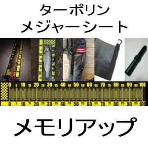 椿研究所 ターポリンメジャーシット メモリアップ バスフィッシング専門店 キーポン