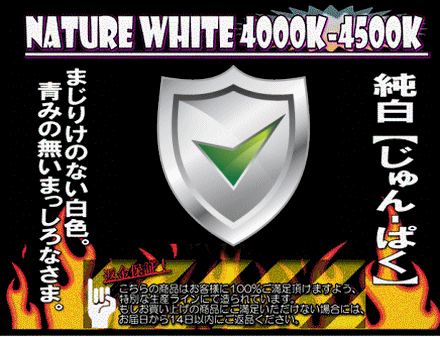 LED5050-natural-white
