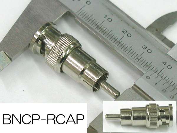 BNCP-RCAP