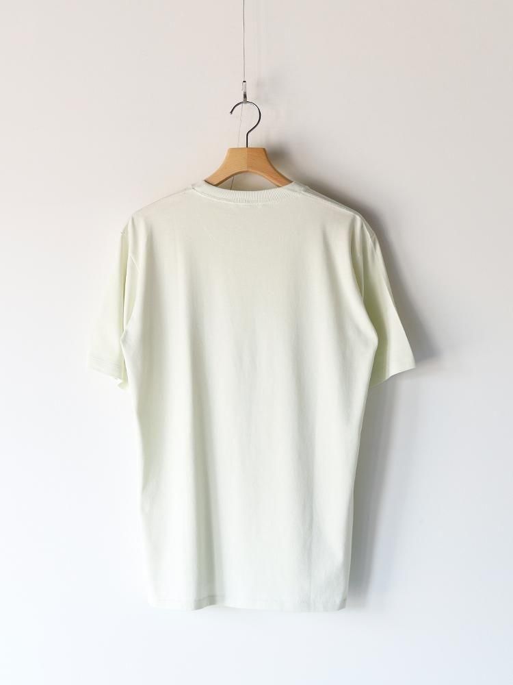 AURALEE men's / LUSTER PLAITING TEE (IVORY PISTACHIO