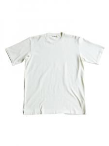 AURALEE men's / LUSTER PLAITING TEE (IVORY PISTACHIO)