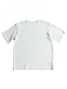AURALEE men's / LUSTER PLAITING BOAT NECK TEE (IVORY PISTACHIO)