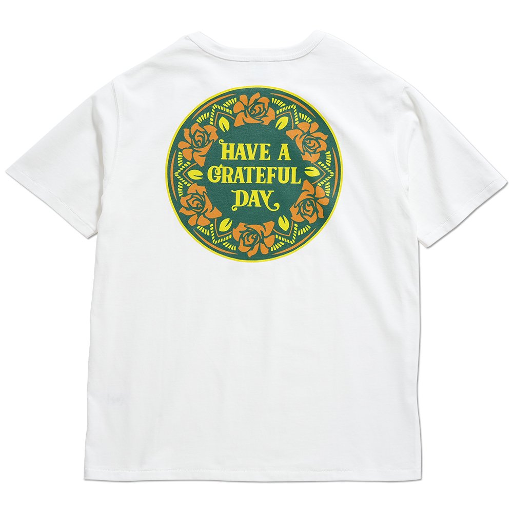 HAVE A GRATEFUL DAY ( ϥ֥쥤ȥեǥ ) T DOILY LOGO TEE ( WHITE / GREEN ) GDC0219DOIL