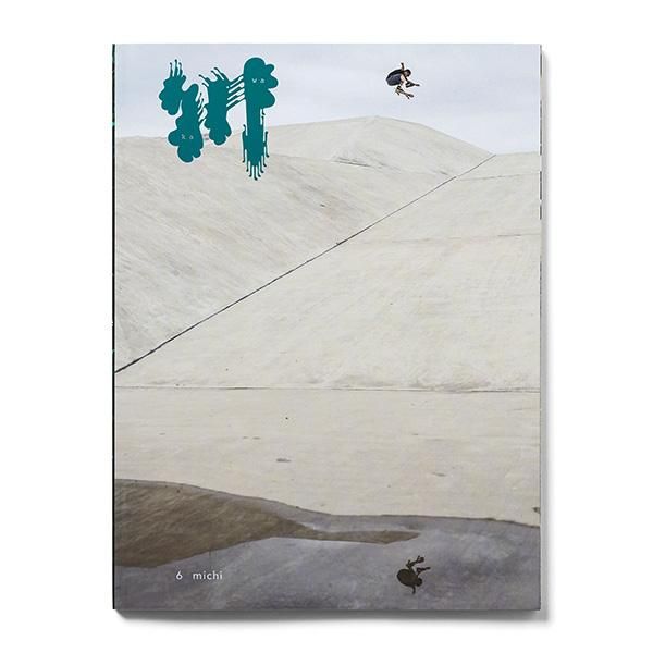  (  )  6 michi ( skateboard )