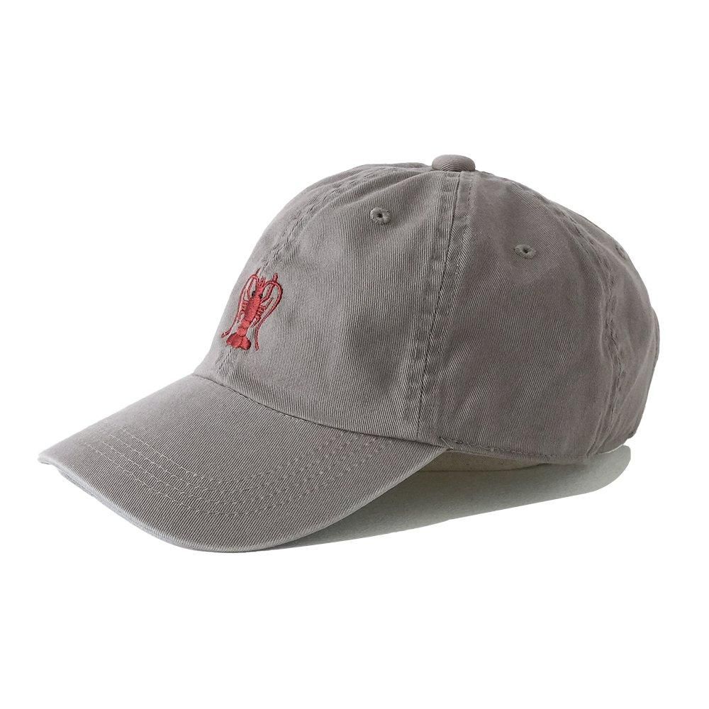 devadurga ( ǥɥ륬 ) ɽå EBI CAP ( GRAY ) dg-1557