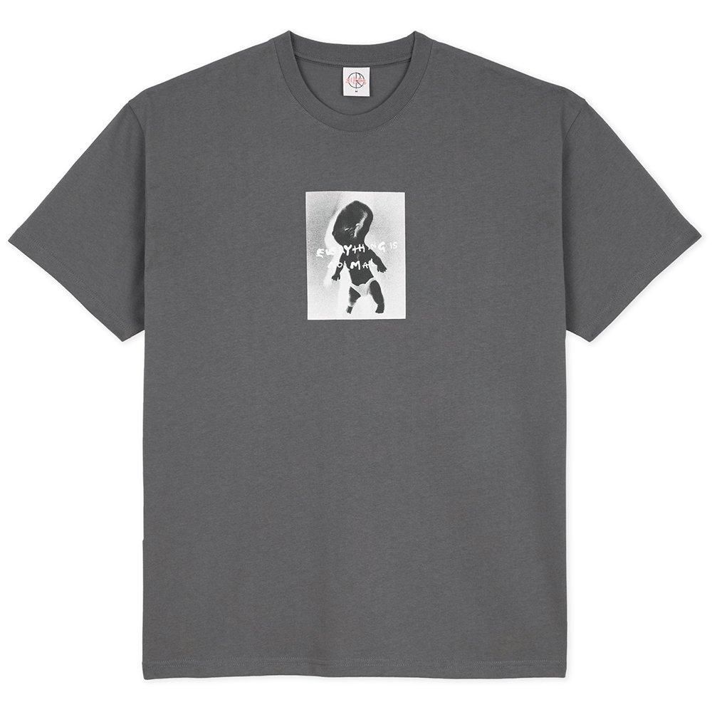 POLAR SKATE CO. ( ݡ顼 ) T EVERYTHING IS NOMAL TEE ( GRAPHITE )