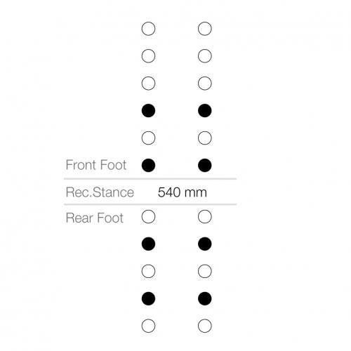 25-26 予約商品 】 GENTEMSTICK ( ゲンテンスティック ) SUPER FISH