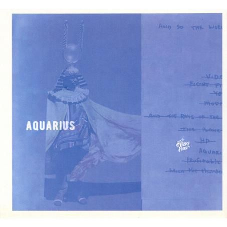 THE KILLING FLOOR ( 󥰥ե ) AQUARIUS (SKATEBOARD DVD)