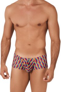 CLEVER Pride Trunks トランクス 0558-1*<img class='new_mark_img2' src='https://img.shop-pro.jp/img/new/icons20.gif' style='border:none;display:inline;margin:0px;padding:0px;width:auto;' />