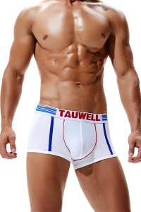 TAUWELL Low Rise Sexy Boxer ボクサーパンツ 8201<img class='new_mark_img2' src='https://img.shop-pro.jp/img/new/icons13.gif' style='border:none;display:inline;margin:0px;padding:0px;width:auto;' />
