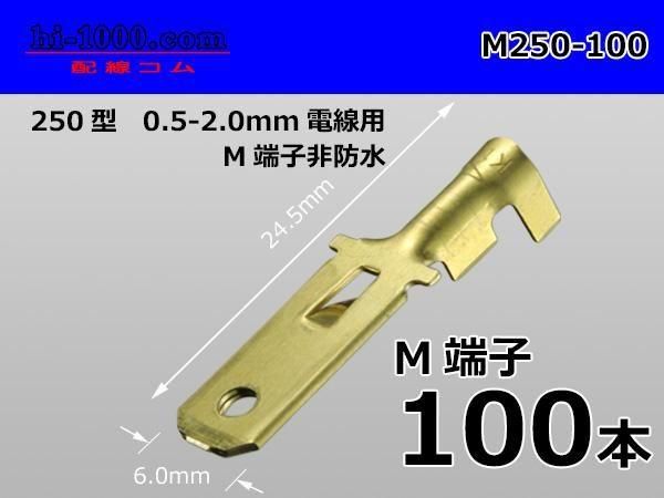 250Mߥʥ(0.52.0mm2)100/M250-100