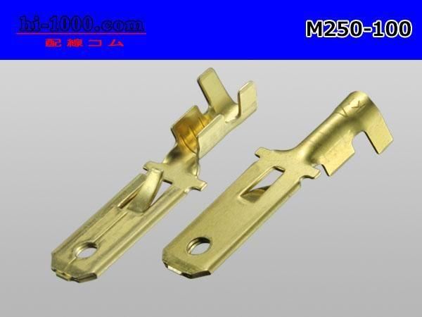 250Mߥʥ(0.52.0mm2)100/M250-100