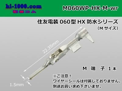 SMP バンプレイオス(組み済み・パーツ欠品あり) 02card_GwBglWByKOM1jhd_A_0twsH