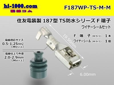 F187WP-TS-M-M