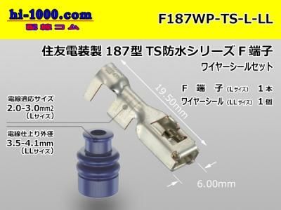F187WP-TS-L-LL