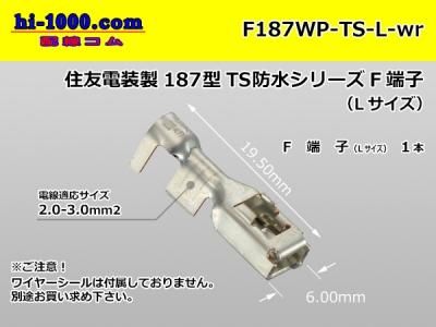 F187WP-TS-L-wr