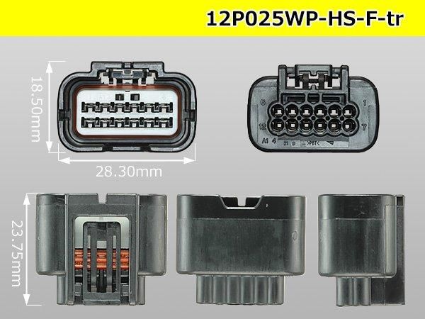 CABLE-D-50SUB/M/OE/0,25/S/6,0M - ケーブル - 2926700