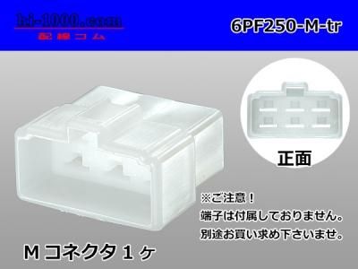 コマたろう出品　6/21 250型6極非防水Mコネクタ 矢崎総業CN(A)シリーズ（ターミナル別売