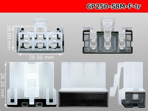 ͧ25058꡼M6F¦ͥ(ü)/6P250-58M-F-tr