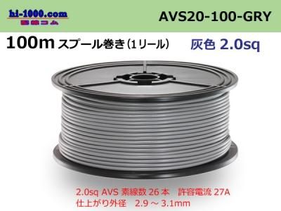 AVS20-100-GRY