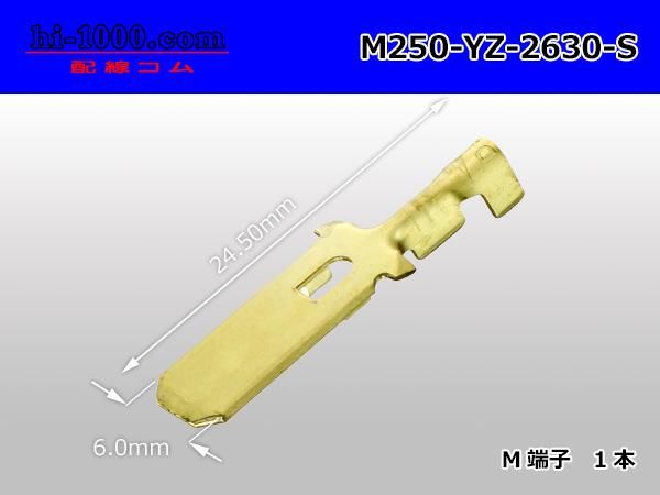 yuk0様 9月26日順次発売｜CONVERSE × SHINYAKOZUKA 