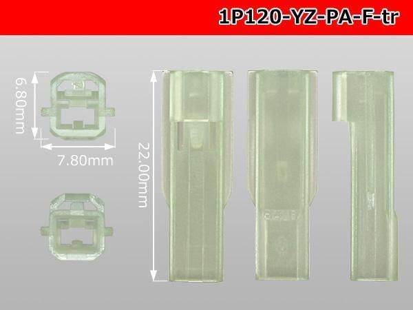 1201ɿFͥ PA꡼ʥߥʥ/1P120-YZ-PA-F-tr