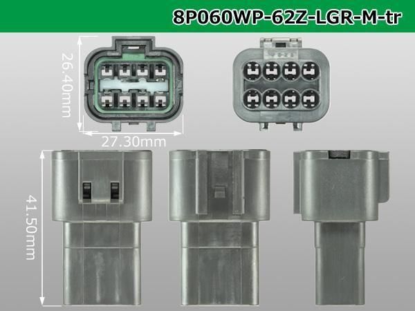 0608ɿMͥ 62ͥZ []ʥߥʥ롦磻䡼/8P060WP-62Z-LGR-M-tr