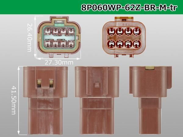 0608ɿMͥ 62ͥZ [㿧]ʥߥʥ롦磻䡼/8P060WP-62Z-BR-M-tr