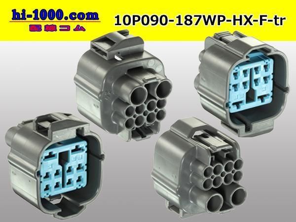ϥ֥å090-18710ɿFͥ ͧHXɿ奷꡼ʥߥʥ롦磻䡼/10P090-187WP-HX-F-tr