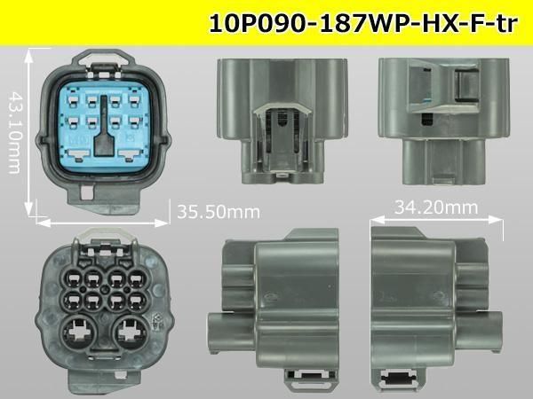 ϥ֥å090-18710ɿFͥ ͧHXɿ奷꡼ʥߥʥ롦磻䡼/10P090-187WP-HX-F-tr