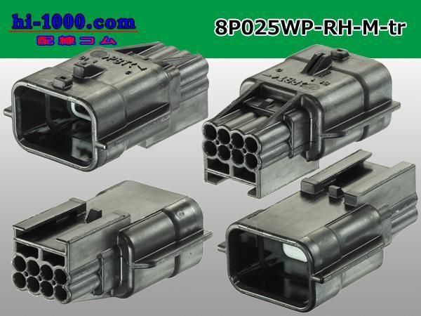 025��8���ɿ�M���ͥ��� �������RH�ɿ奷�꡼���ʥ����ߥʥ롦�磻�䡼�����������/8P025WP-RH-M-tr