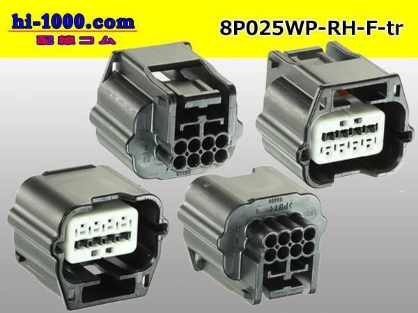 025��8���ɿ�F���ͥ��� �������RH�ɿ奷�꡼���ʥ����ߥʥ롦�磻�䡼�����������/8P025WP-RH-F-tr