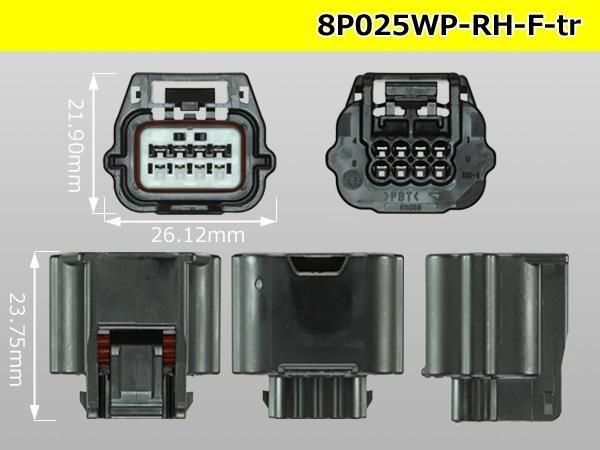 025��8���ɿ�F���ͥ��� �������RH�ɿ奷�꡼���ʥ����ߥʥ롦�磻�䡼�����������/8P025WP-RH-F-tr