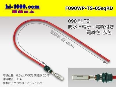 F090WP-TS-05sqRD