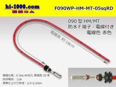 F090WP-HM-MT-05sqRD