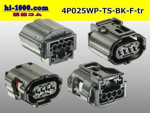 025��4���ɿ�F���ͥ��� ��ͧ����TS�ɿ奷�꡼�� [������]�ʥ����ߥʥ롦�磻�䡼�����������/4P025WP-TS-BK-F-tr