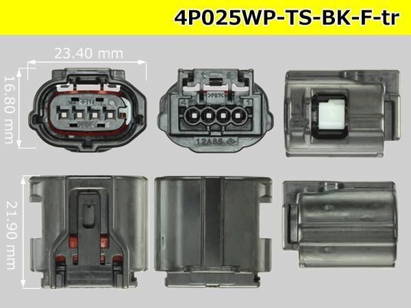 025��4���ɿ�F���ͥ��� ��ͧ����TS�ɿ奷�꡼�� [������]�ʥ����ߥʥ롦�磻�䡼�����������/4P025WP-TS-BK-F-tr