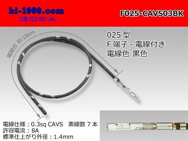 ں߸˸¤۽ͧ 025TS꡼ɿFߥʥ-CAVS0.3դ/F025-CAVS03BK
