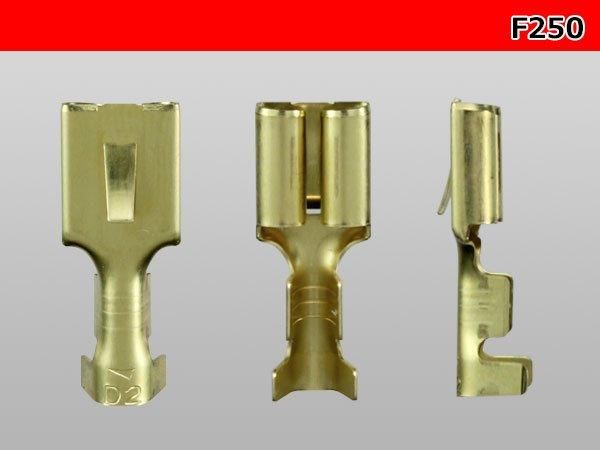 250ɿFߥʥAVS0.85sqդ-/F250-AVS085YE