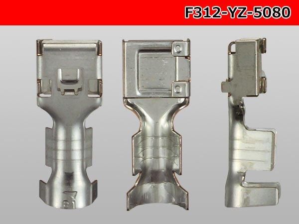 312ɿFߥʥ-AVS5.0դ/F312-YZ-5080-AVS50YE