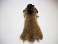 ハクビシンの鞣し毛皮[ハンドメイド] ハクビシンの鞣し毛皮[ハンドメイド]