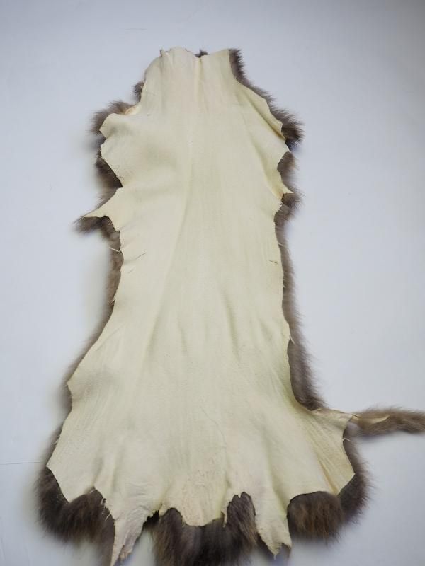 ハクビシンの鞣し毛皮[ハンドメイド] ハクビシンの鞣し毛皮[ハンドメイド]