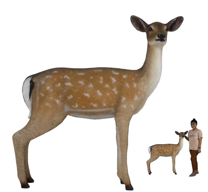 動物オブジェ 白い尻尾の雌鹿 等身大動物フィギュア 大型オブジェ 店舗ディスプレイ販売のコズミックランド