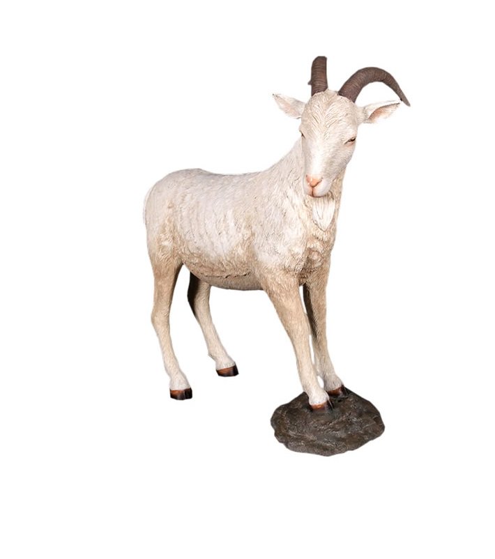 お得なセール価格 山羊の剥製 装飾 インテリア小物 | sarilab.com