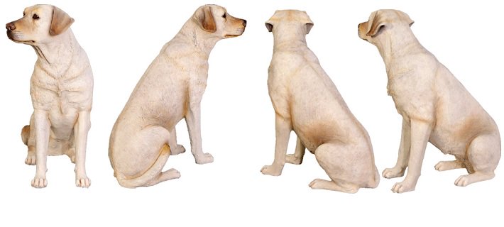 犬のオブジェ 置物 おすわりをするラブラドール イエロー 白 等身大フィギュア 動物オブジェ 店舗ディスプレイ 看板 インテリア販売のコズミックランド