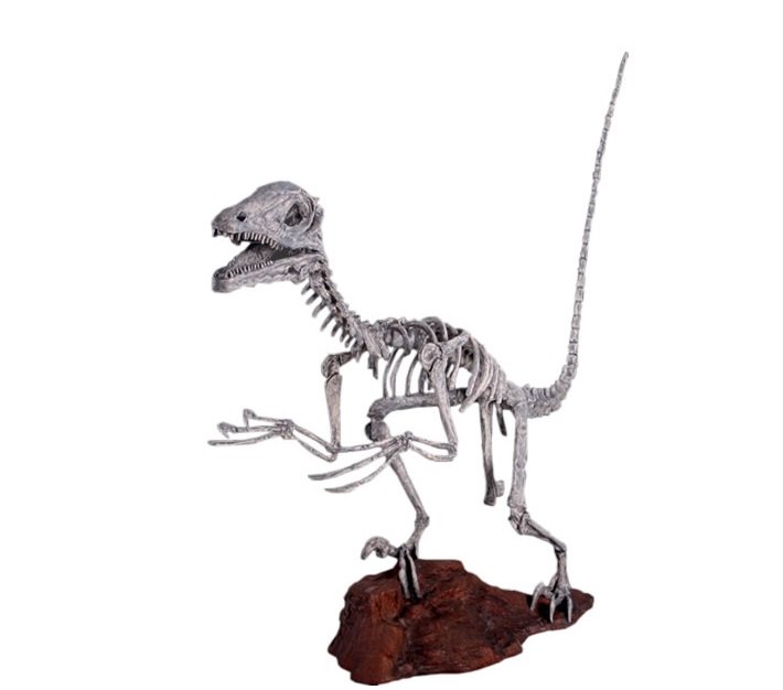 恐竜オブジェ 化石 骨 ディノニクス スケルトン 等身大フィギュア 店舗ディスプレイ 大型オブジェ販売のコズミックランド