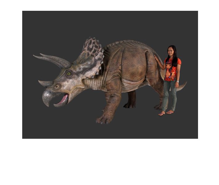 恐竜オブジェシリーズ トリケラトプス 巨大フィギュア 435cm 等身大フィギュア 店舗ディスプレイ 大型オブジェ販売のコズミックランド